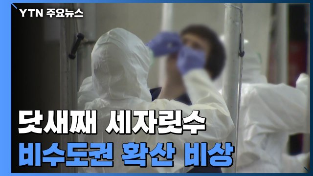 잇따른 집단감염, 닷새째 세자릿수...비수도권 확산 '비상' / YTN