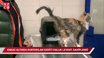 Tải video: Enkaz altından kurtarılan kediyi Haluk Levent sahiplendi