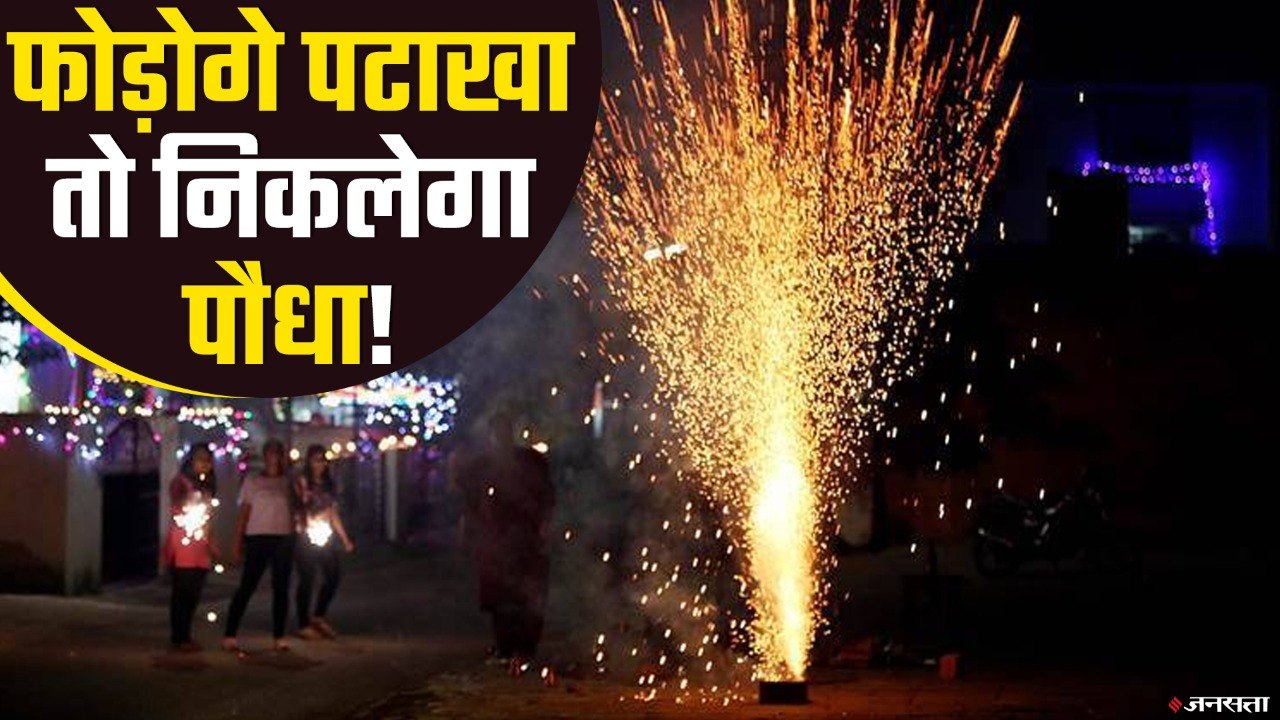 पंचकूला की लड़की ने बनाए पटाखे जो फूटने के बाद पौधों में बदल जाएंगे | Green Crackers Panchkula