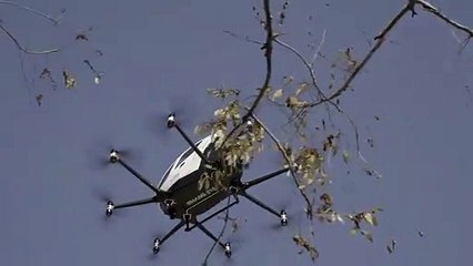 Güney Kore'de drone taksiler havalandı