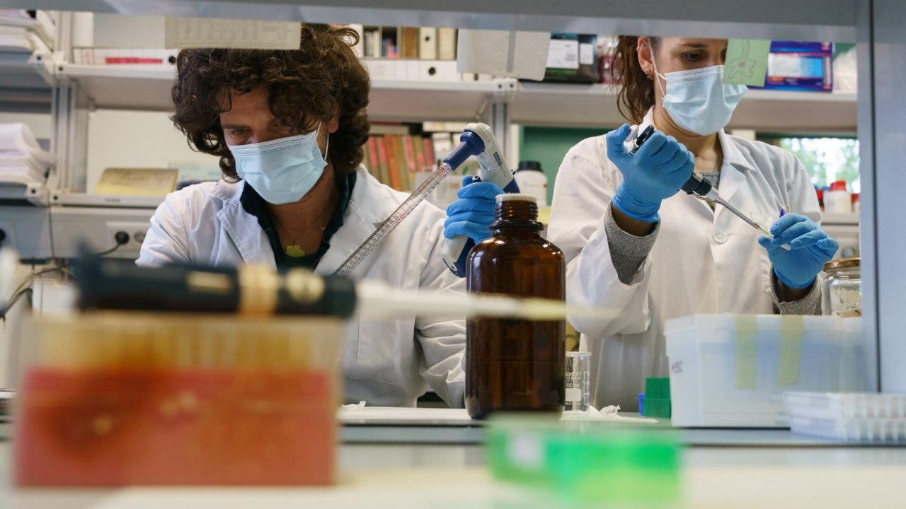 Vacuna contra el covid-19: así van los estudios a nivel mundial