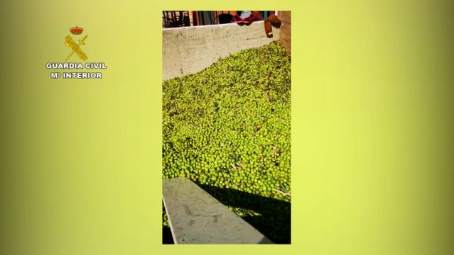 Detenidas dos personas por una trama de venta de aceitunas robadas