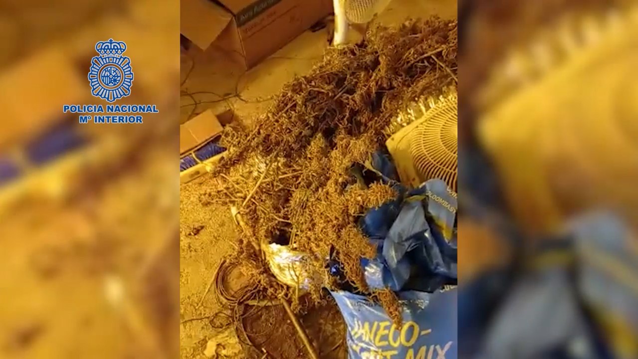 La Policía Nacional detiene a 10 personas por defraudar a aseguradoras de vehículos