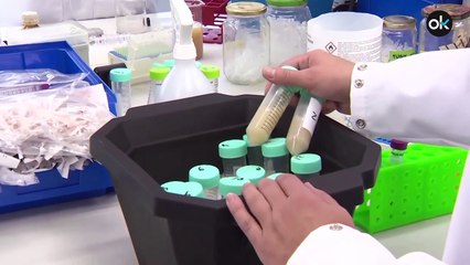 La OMS advierte de que actualmente ningún país puede almacenar la vacuna de Pfizer