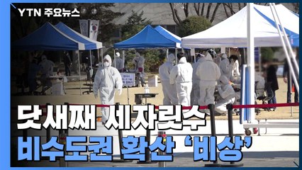 잇따른 집단감염, 닷새째 세자릿수...비수도권 확산 '비상' / YTN