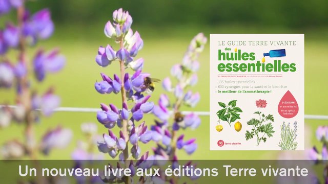 Le guide Terre vivante des huiles essentielles