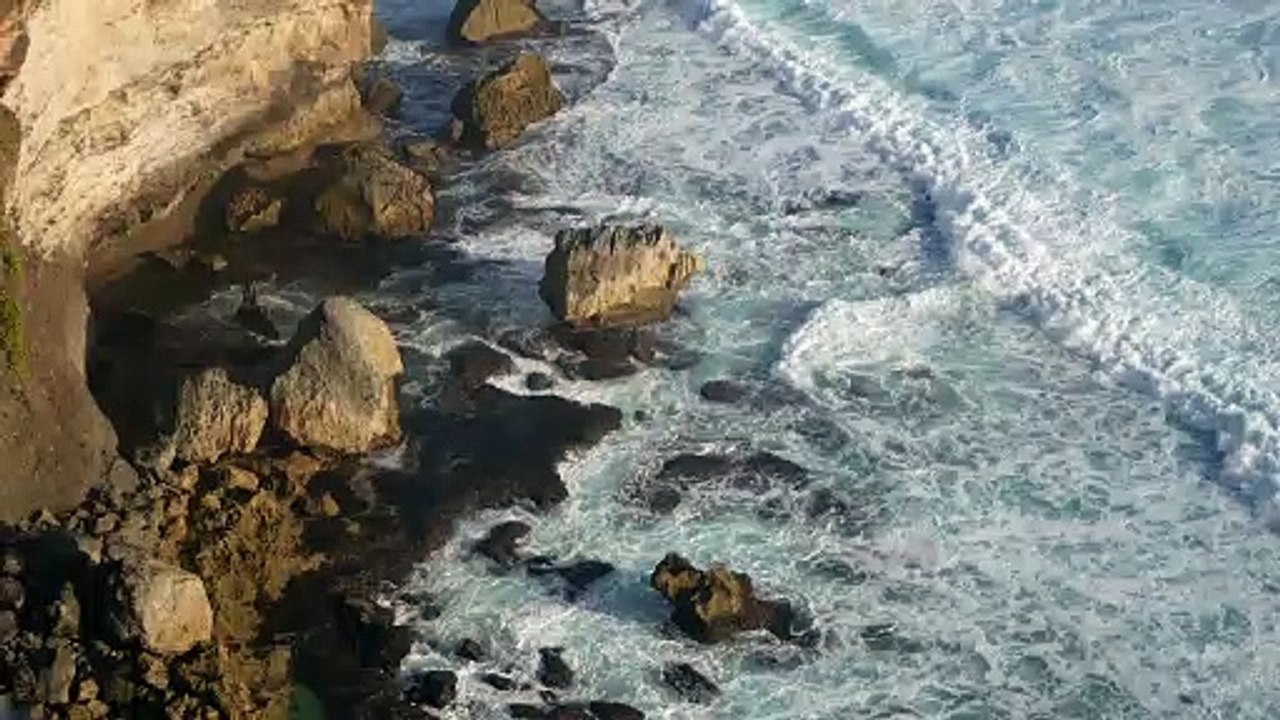 Pexels Videos 1414757