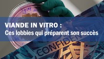 Viande in vitro : ces lobbies qui préparent son succès