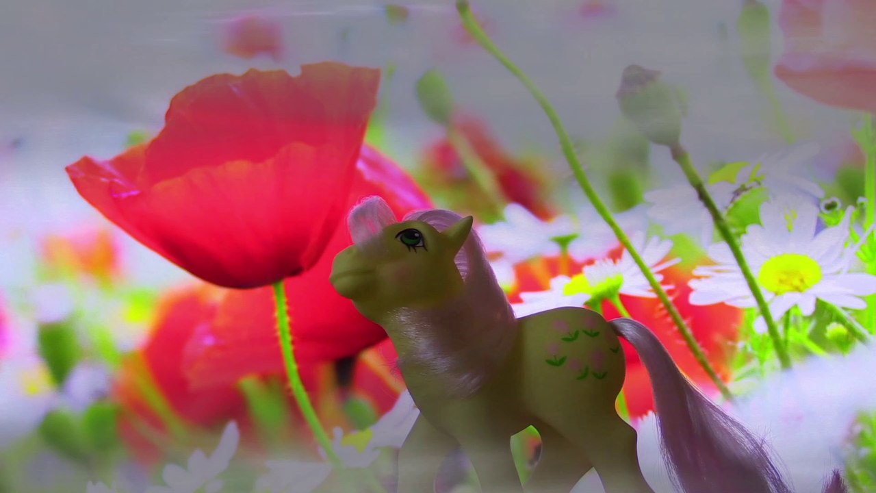 MON PETIT PONEY-COMMENT GRANDIT MON JARDIN