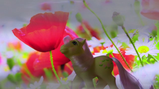 MON PETIT PONEY-COMMENT GRANDIT MON JARDIN