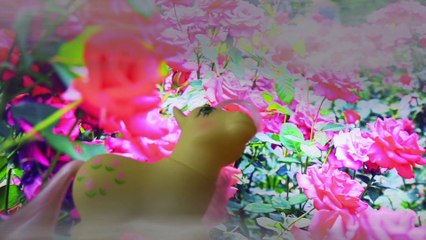 PIKKU PONIT-MITEN PUUTARHAAN KASVUA