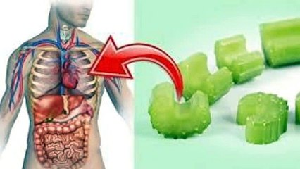 5 bienfaits du céleri sur la santé