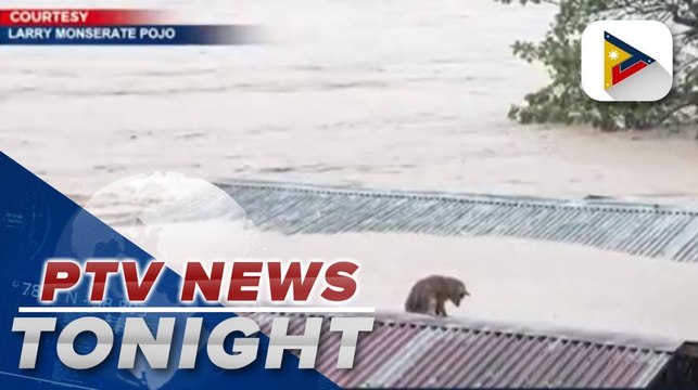 Rescue of dog, baby in a basin make netizens smile in spite of '#UlyssesPH'