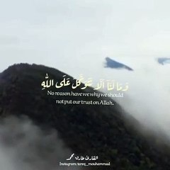 القارئ طارق محمد _قرآن كريم_ مقاطع قصيرة_ تلاوة عطرة خاشعة_ حالات واتساب دينية(480P)_2