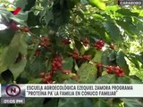 Conuco Ezequiel Zamora en Carabobo, cosecha 4mil kg de Cachamas y más de 20 rubros agrícolas