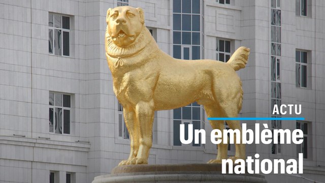 Le dictateur du Turkménistan fait ériger une statue en or de son chien préféré