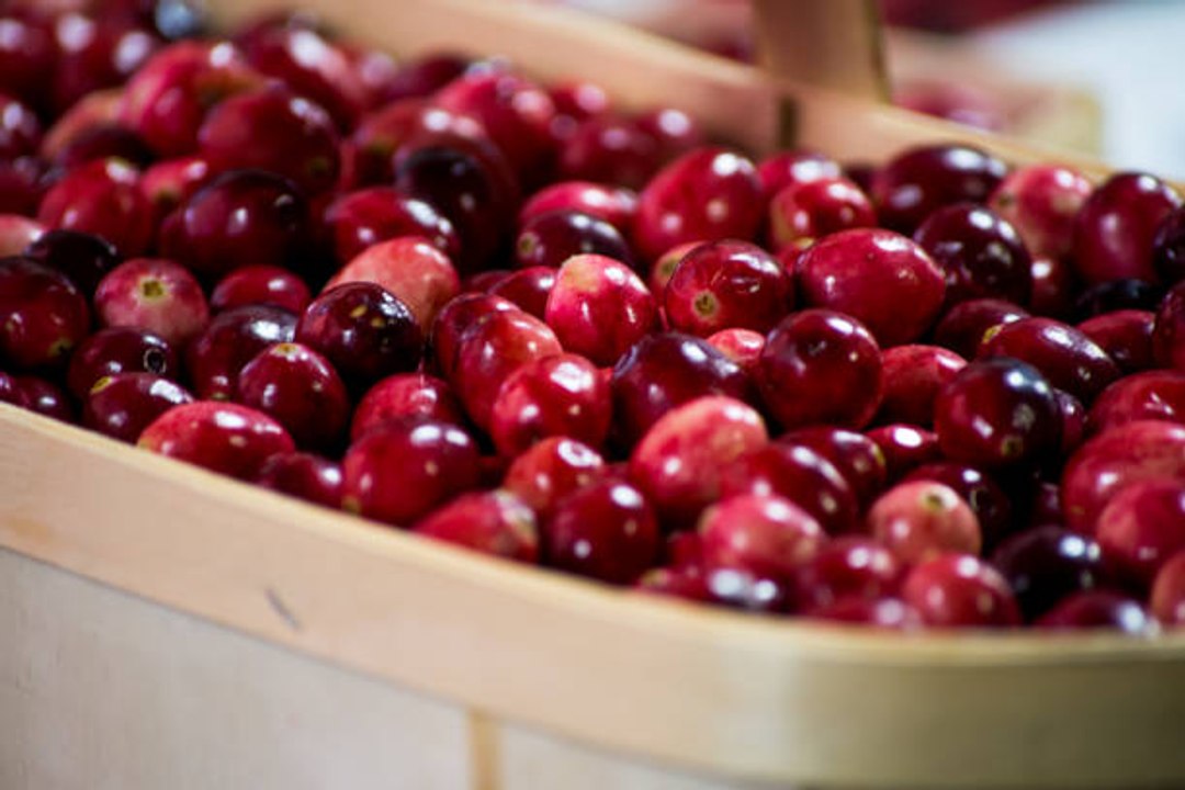 Poll Shows Cranberry Sauce Is the Most Hated Thanksgiving Food