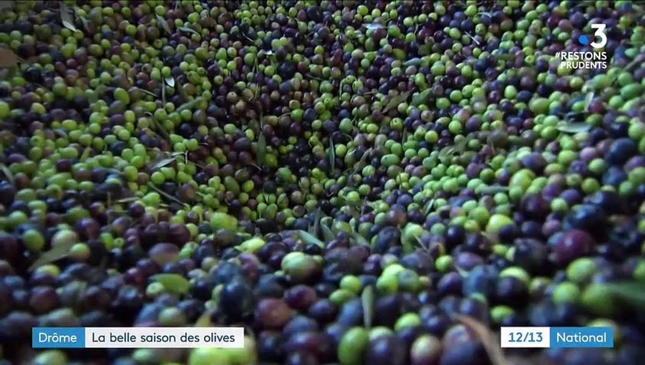 Drôme : 2020, une belle année pour la récolte des olives