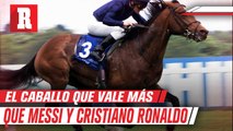 Galileo, el caballo que vale más que el propio Cristiano Ronaldo y Lionel Messi juntos