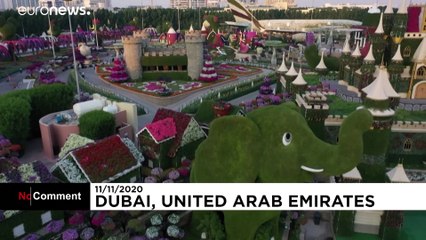 Megnyílt a világ legnagyobb kertje Dubajban