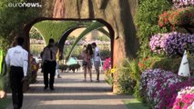 شاهد: حديقة دبي المعجزة تفتح أبوابها للزوار في موسمها التاسع
