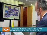 Venezuela emulará experiencia OPEP para reforzar cooperación con Países Exportadores de Gas