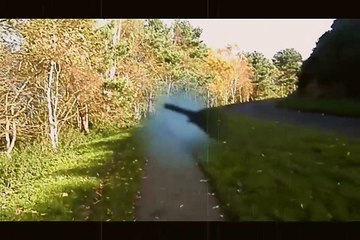 The Popatyouband,,,,,,,,,Its cold outside and we just want to be free