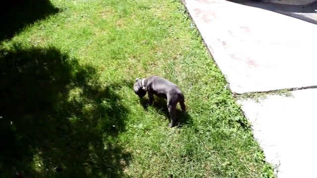 10 - [ VLOG FAMILLE ADRIENYTB MAVACHOU ] PAPA SEUL AVEC 4 ENFANTS