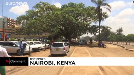 El árbol sagrado para los 'Kikuyu' se libra de la tala en Nairobi