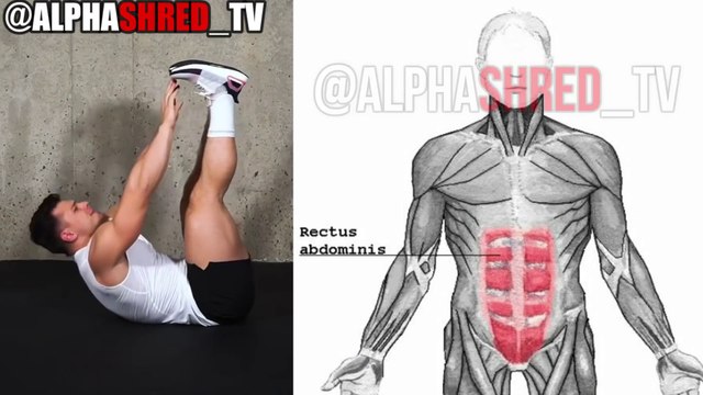 17 EXERCICES DE POIDS CORPOREL POUR CONSTRUIRE LE MUSCLE À LA MAISON!