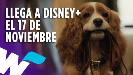 EL LIVE ACTION DE "LA DAMA Y EL VAGABUNDO"  LLEGA A DISNEY+ EL 17 DE NOVIEMBRE Y MÁS.