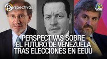 Perspectivas sobre el futuro de Venezuela tras elecciones en EEUU - VPItv