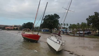 Tampa Bay cleans up from Tropical Storm Eta