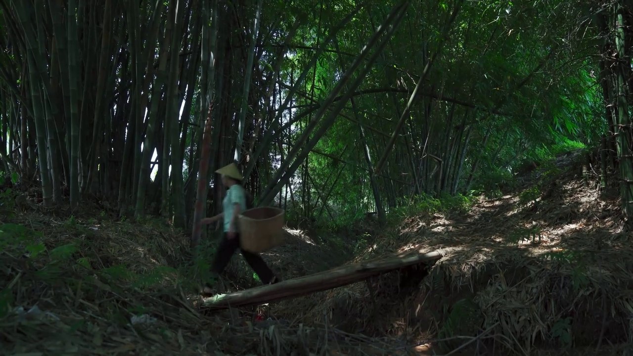 Sour Bamboo Shoots - The Soul Spices of Dai-styled Yunnan Cuisine