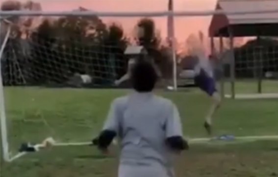 Cuando tienes puntería y tu hermano te molesta