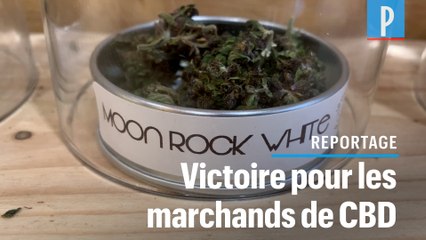 Cour européenne de justice : le soulagement des vendeurs de CBD français