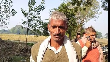 ग्राम ब्यासपुरा में अज्ञात चोर तीन भैंसों को चुराकर हुए फरार, पुलिस जांच पड़ताल में जुटी