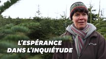 Comment cette productrice de sapins de Noël fait face à la crise sanitaire et écologique