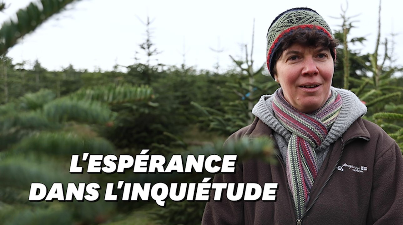 Comment cette productrice de sapins de Noël fait face à la crise sanitaire et écologique