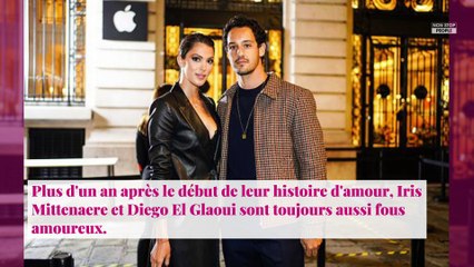 Iris Mittenaere : accusée de ne pas respecter le confinement, elle fait une mise au point sur Instagram