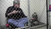 Ce vétérinaire a trouvé une méthode incroyable pour que ce chien craintif mange