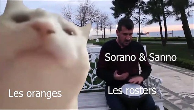 cat-vibing-to-ievan-polkka-official-video-hd-cat-vibing-to-music-cat-vibing-meme