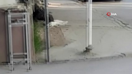 Bursa'da pitbull dehşeti kamerada