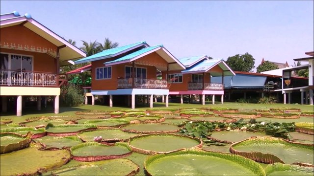 Suan Bua Restaurant and Homestay at Nonthaburi Province in Thailand
