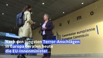 Terrorismusbekämpfung in der EU: 