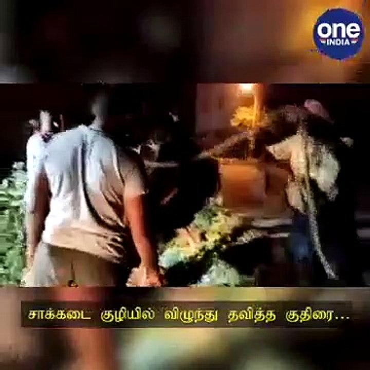 ஈரோடு சாக்கடை குழியில் விழுந்து தவித்த குதிரை.. போராடி மீட்ட தீயணைப்பு வீரர்கள்..!