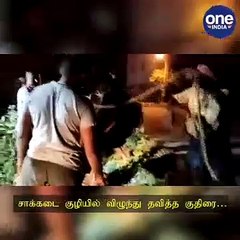 Скачать видео: ஈரோடு சாக்கடை குழியில் விழுந்து தவித்த குதிரை.. போராடி மீட்ட தீயணைப்பு வீரர்கள்..!