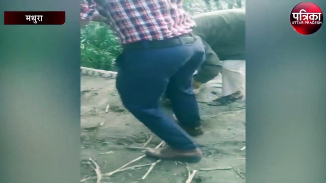 अजगर की लंबाई देख उल्टे पैर भागे किसान