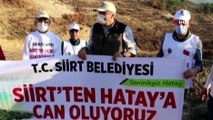 Siirt Belediyesi, Hatay’da PKK’nın yaktığı ormanda fidan dikti