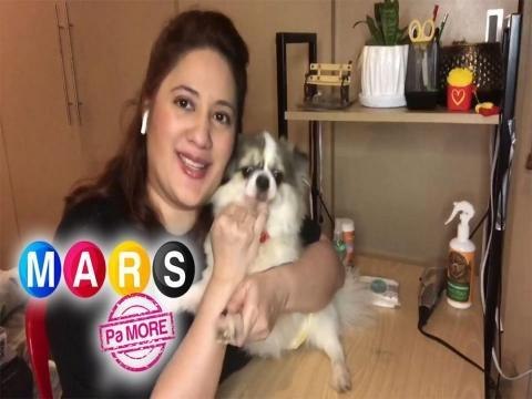 Mars Pa More: Easy pet grooming tips from Sharmaine Arnaiz